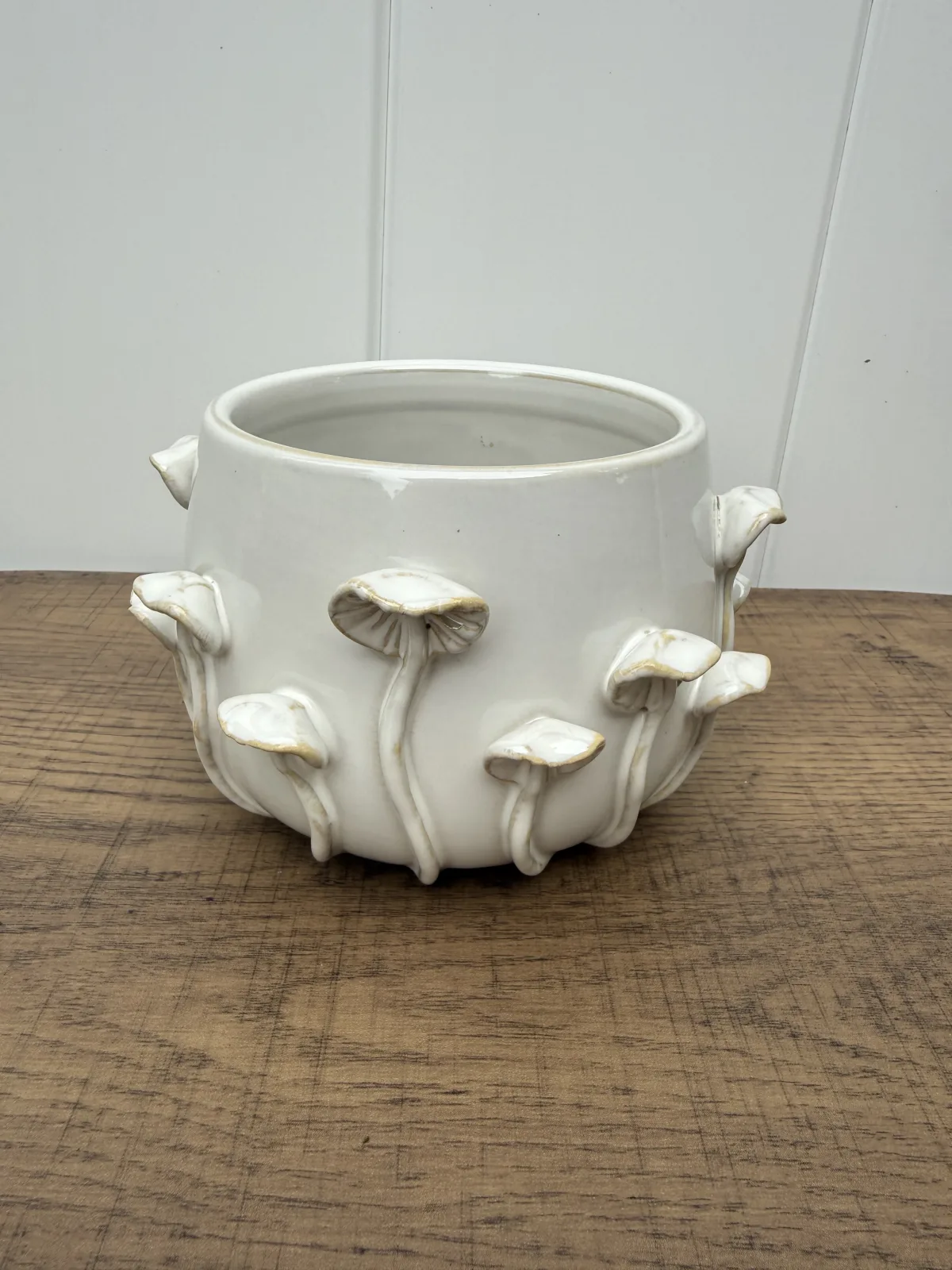 Mushroom Planter