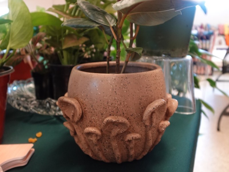 A rubber plant in a speckled stoneware pot with a sculpted face around the base.
